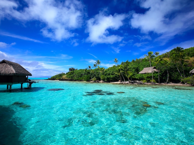 2024年版・フランス領ポリネシア（タヒチ）観光ガイド！おすすめ観光まとめ記事や定番スポットのランキング｜トリップノート