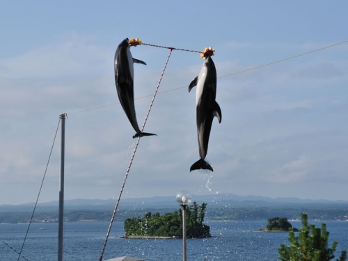 北陸 子供が喜ぶ観光スポットランキングtop92 観光地
