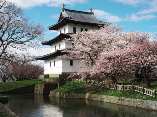 北海道の桜の名所ランキングtop17 観光地