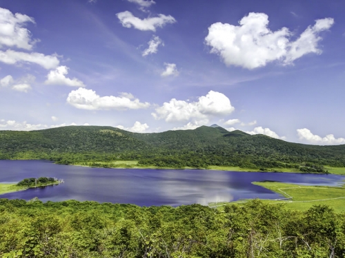 福島で人気の花畑 5月 ランキング 観光地