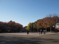 上野恩賜公園