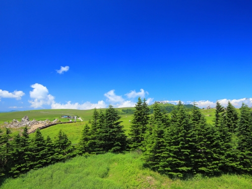 長野で人気の花畑 5月 ランキングtop10 観光地