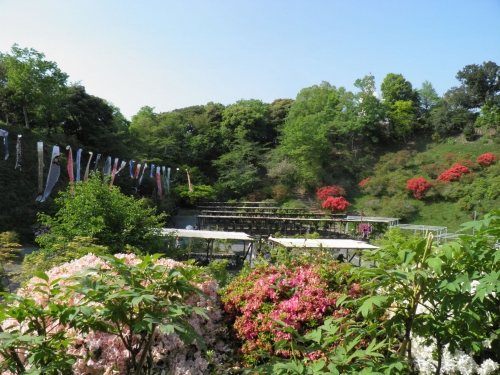 東海で人気の花畑 5月 ランキングtop41 観光スポット 東海で人気の花畑 5月 ランキングtop41 観光スポット