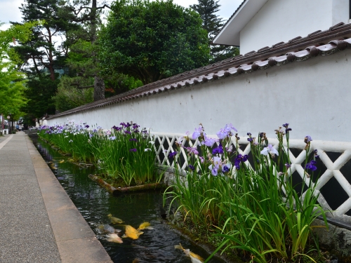 島根で人気の花畑 6月 ランキングtop4 観光地