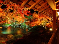 姫路城西御屋敷跡庭園 好古園 紅葉会