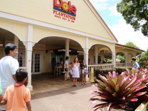 ハワイで人気のテーマパーク レジャーランキングtop3 ハワイ 遊び 体験 観光スポット ハワイで人気のテーマパーク レジャーランキングtop3 ハワイ 遊び 体験 観光スポット