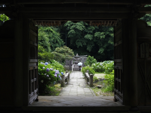 島根で人気の花畑 6月 ランキングtop4 観光地