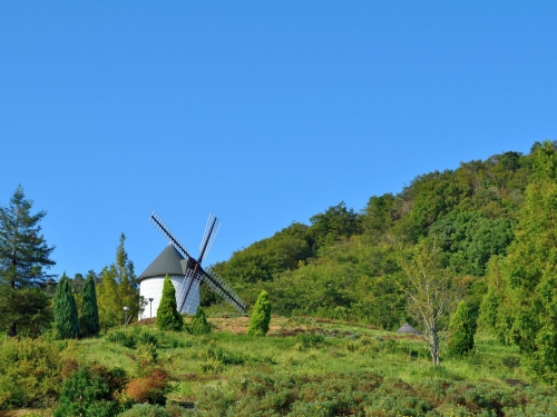 四国で人気の花畑 1月 ランキング 遊び 体験 観光スポット