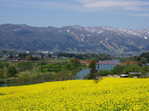 長野で人気の花畑ランキング 観光地