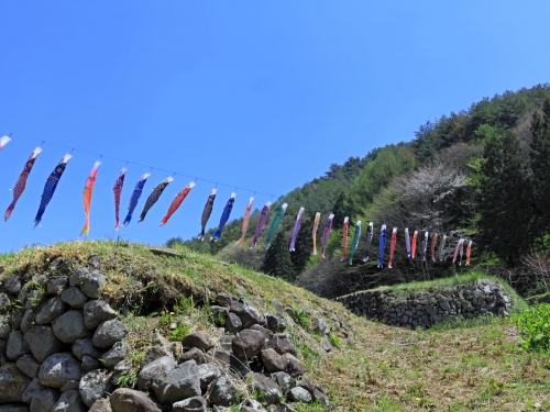 山梨で人気の花畑 9月 ランキングtop5 遊び 体験 観光スポット