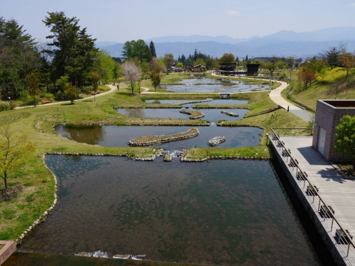 長野で人気の花畑ランキングtop16 観光地