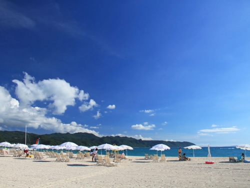 沖縄本島で人気のグラスボートランキングtop5 沖縄本島 観光スポット