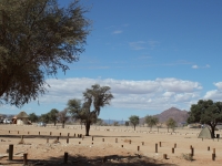 セスリエム・キャンプサイト