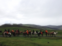 Eld Hestar Horseback Tours