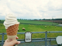 丘のさんぽ道〜ジェラート工房丘のミルジェ〜