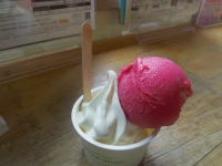 城崎ジェラートカフェChaya