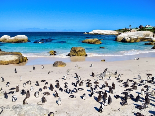 アフリカで人気のビーチランキングtop4 アフリカ 観光地