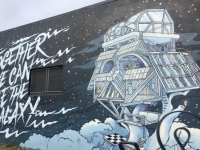 ダースベーダーツリーハウスアート