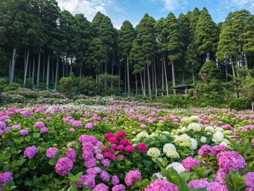 関東で人気のインスタ映えスポットランキングtop235 観光スポット 5ページ目 関東で人気のインスタ映えスポットランキングtop235 観光スポット 5ページ目