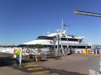 タンガルーマ・プレミアムドルフィンデイクルーズ