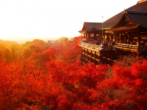 【京都東山清水寺紅葉図(紅葉秋雨)】浅野鶴汀 1003 秋景 共箱 掛け軸 肉筆 46120-RbaR7KpsWqMy57QJnTWP_mdm.jpg