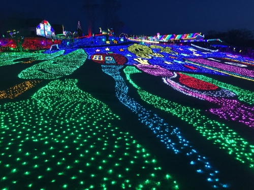 東京ドイツ村周辺の人気観光スポット3選