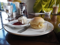 ティールーム ヴィクトリアンローズ