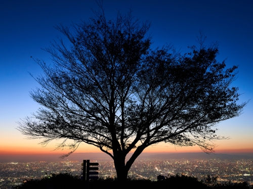 大阪のおすすめ展望台ランキングtop4 観光地