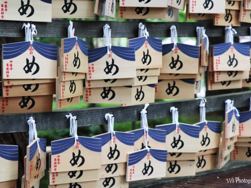 岩手で人気の寺ランキングtop5 岩手 観光スポット 岩手で人気の寺ランキングtop5 岩手 観光スポット