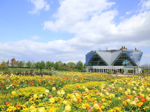 愛知で人気の花畑 9月 ランキングtop4 観光スポット 愛知で人気の花畑 9月 ランキングtop4 観光スポット