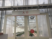 横浜ストロベリーパーク（旧：東京ストロベリーパーク）