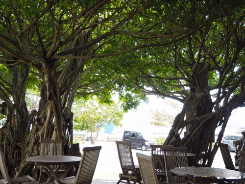 関東で人気のカフェ 喫茶店ランキングtop50 2ページ目 関東 観光地