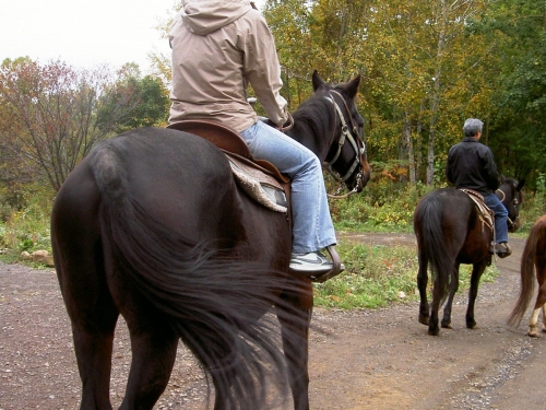 小樽 子供と行きたい観光スポットランキングtop3 子連れ旅行におすすめ 観光地