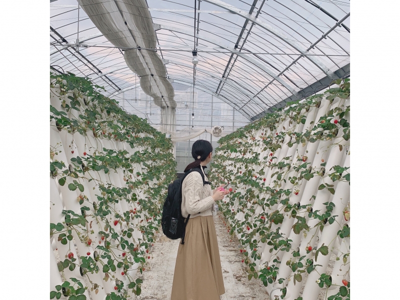 【閉店】フルーツファーム果楽土