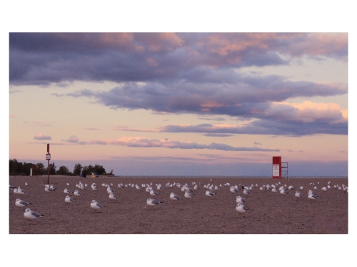 カナダで人気のビーチランキングtop3 カナダ 観光地