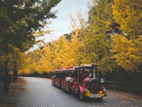 秩父ミューズパーク