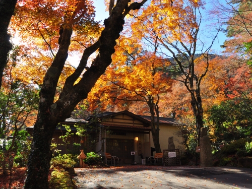 箱根の穴場観光スポットランキングtop17 観光地