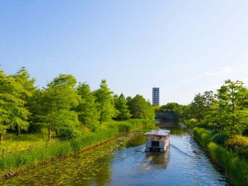 静岡のおすすめひまわり畑ランキングtop7 観光地