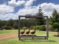 シングルファイル ワイン