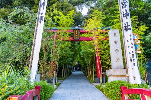 伊豆網代温泉 松風苑周辺の人気観光スポット選 料金 クチコミ比較 伊豆網代温泉 松風苑周辺の人気観光スポット選 料金 クチコミ比較