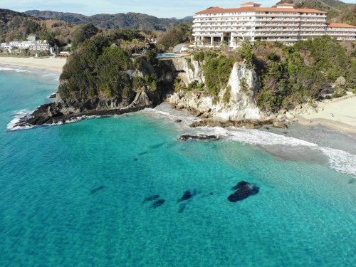 下田のおすすめ海水浴場ランキングtop9 観光地