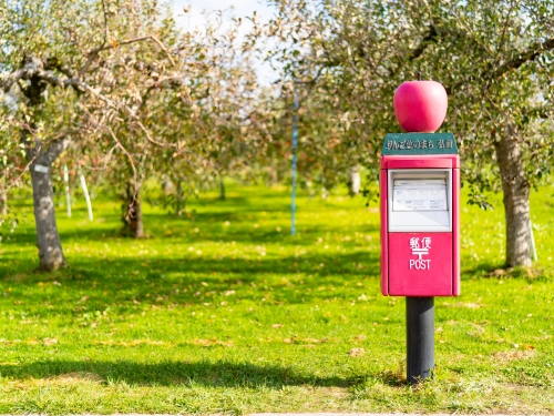 東北のおすすめ果物狩りスポットランキングtop15 観光地