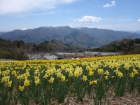 ノルンみなかみフラワーガーデン