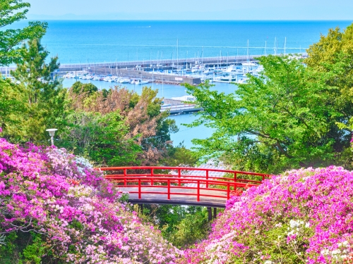 大阪で人気のつつじの名所ランキングtop5 大阪 観光スポット