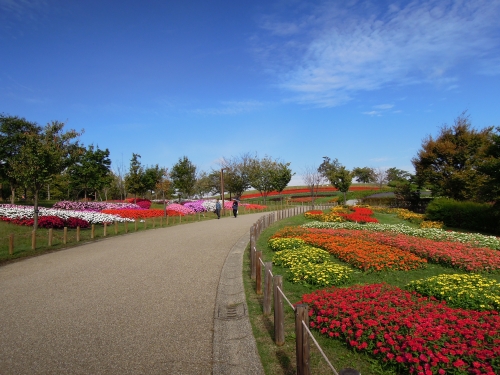 奈良のおすすめひまわり畑ランキングtop3 観光地