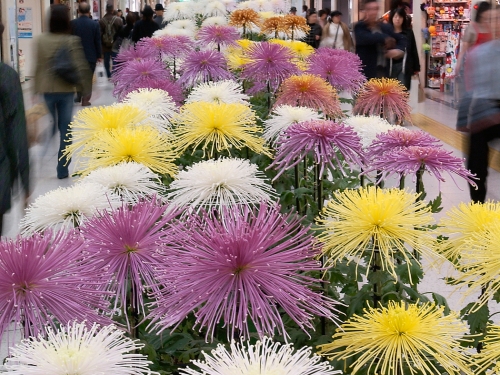 札幌で人気の遊び 体験 観光スポットランキングtop50 9ページ目 札幌 遊び 体験 観光スポット