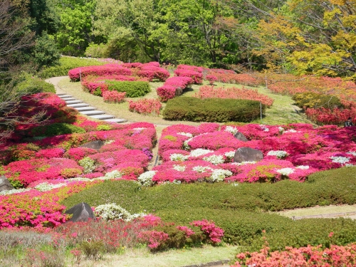 大阪で人気のつつじの名所ランキングtop5 大阪 観光スポット