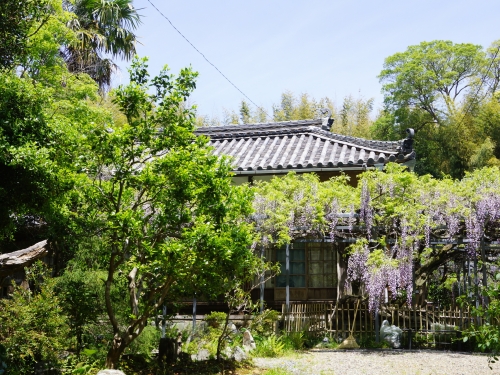 東海で人気の花畑 5月 ランキングtop41 観光スポット 東海で人気の花畑 5月 ランキングtop41 観光スポット