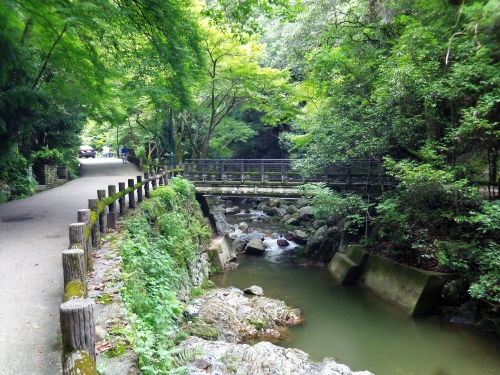 箕面で人気の観光地ランキングtop28 箕面 観光地