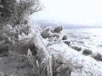 猪苗代湖の飛沫氷